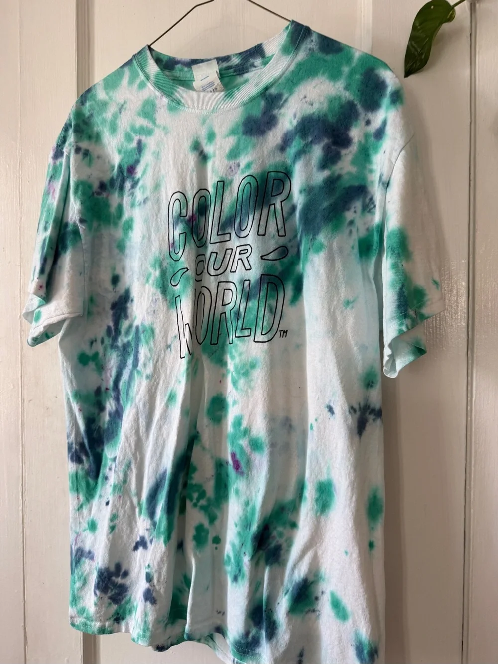 COLOR OUR WORLD Tie-Dye Graphic Tee - Teal & Navy size L - Picture 2 of 8